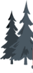 shape